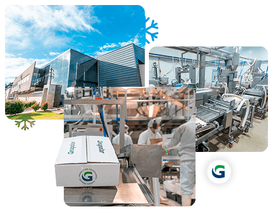 Portada-Video-Conocenos Fábrica de Grupolar. Oficinas y cinta transportadora con trabajadores.